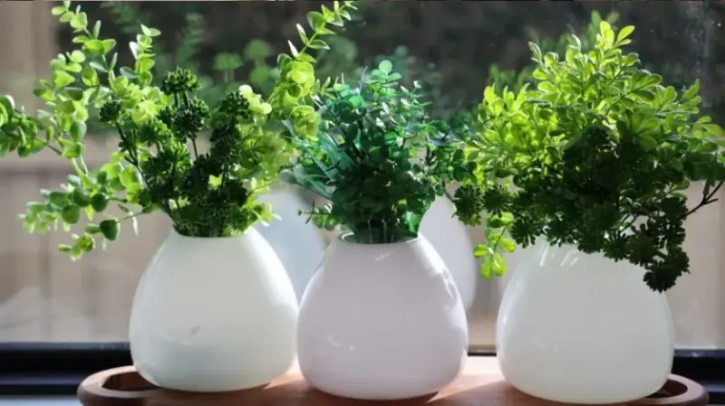 आर्टिफिशियल प्लांट्स से घर की खूबसूरती बढ़ेगी या वास्तु दोष?