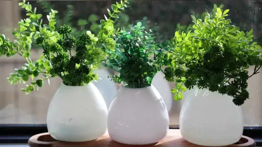 आर्टिफिशियल प्लांट्स से घर की खूबसूरती बढ़ेगी या वास्तु दोष?