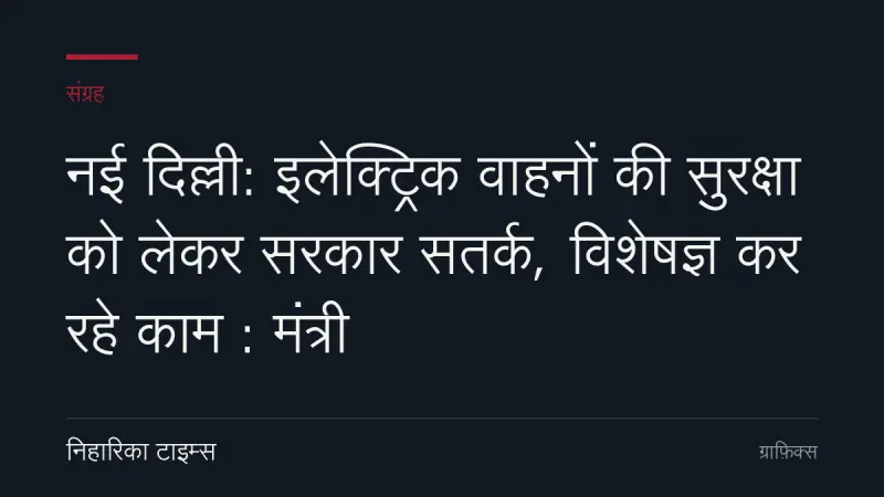 नई दिल्ली: इलेक्ट्रिक वाहनों की सुरक्षा को लेकर सरकार सतर्क, विशेषज्ञ कर रहे काम : मंत्री