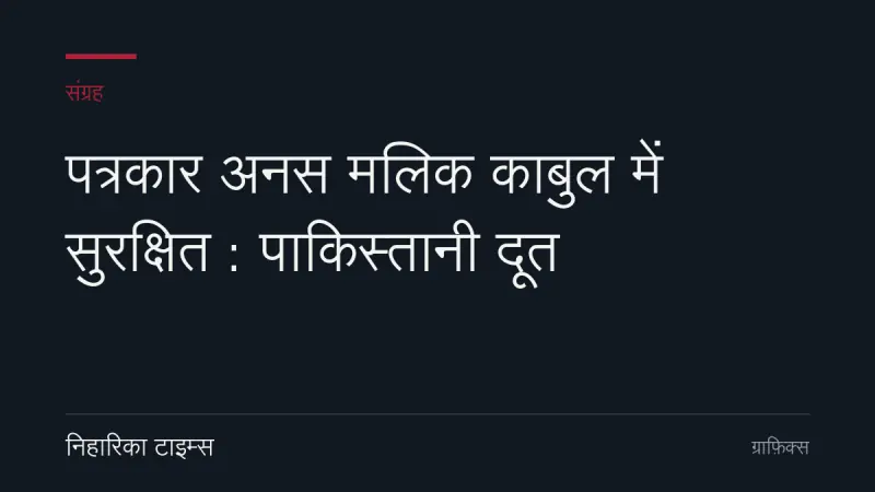 पत्रकार अनस मलिक काबुल में सुरक्षित : पाकिस्तानी दूत