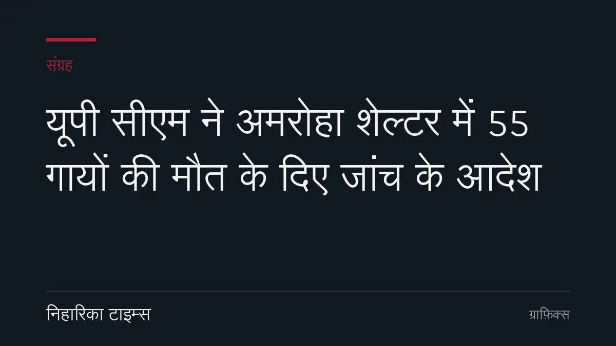 यूपी सीएम ने अमरोहा शेल्टर में 55 गायों की मौत के दिए जांच के आदेश