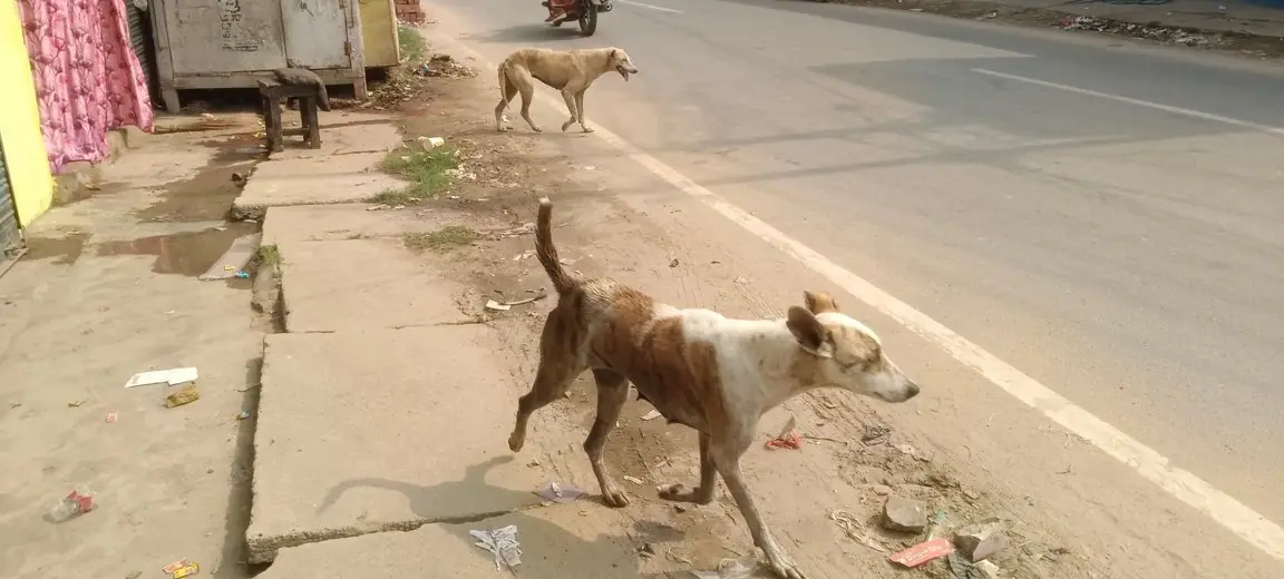 अलीगढ़ और वाराणसी में मारपीट के मामले