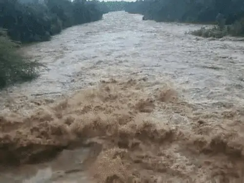Rain continues since morning in Baran, lifeline for crops