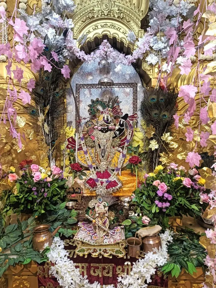 बड़ानयागांव में श्रीकृष्ण जन्मोत्सव धूमधाम से मनाया गया