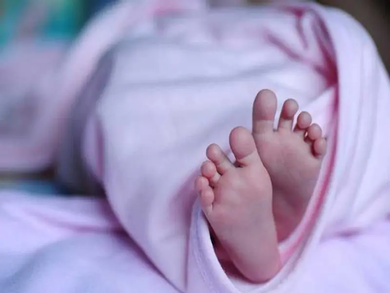 चंबा में सड़क किनारे नवजात के अवशेष मिले