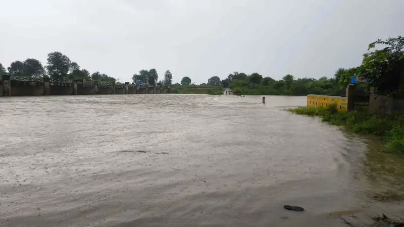 धौलपुर में तीन दिन से झमाझम बारिश से जनजीवन अस्त-व्यस्त