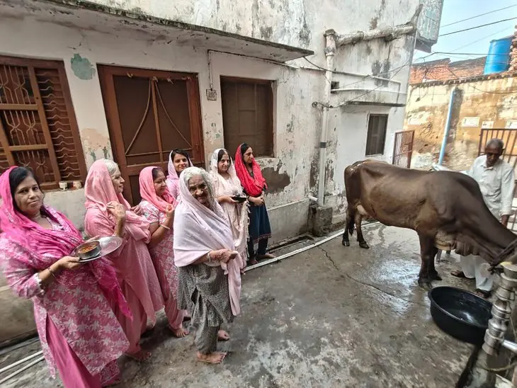 गंगापुर सिटी में वत्स द्वादशी पूजा
