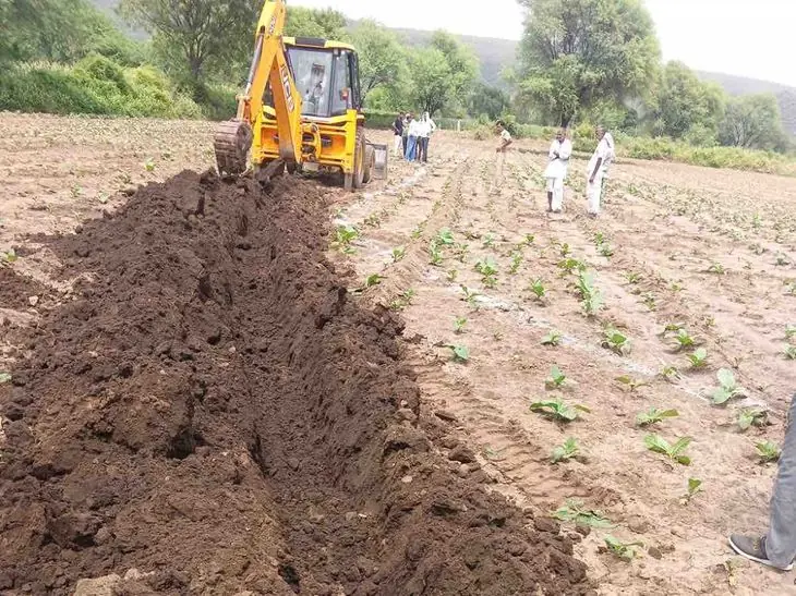 हाईकोर्ट के आदेश पर करौली में 5 हेक्टेयर वन भूमि अतिक्रमण मुक्त