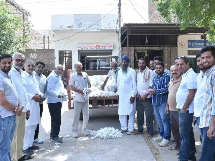 हनुमानगढ़ की नई धान मंडी में नरमे की पहली आवक