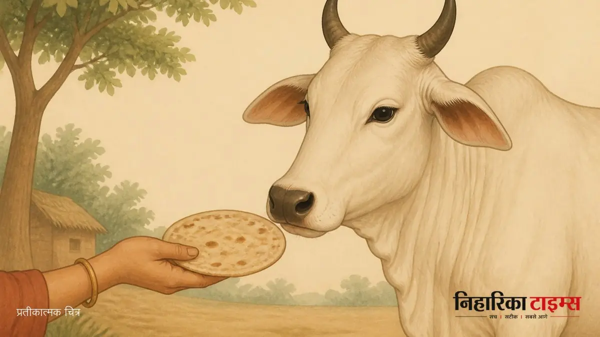 कुंभ राशि वालों को गाय को रोटी खिलाने की सलाह