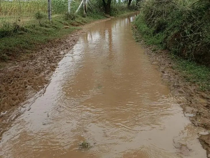 नामुंडा की ढाणियों का रास्ता बारिश में डूबा, आवाजाही ठप