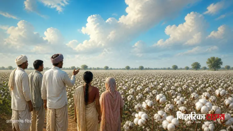 निम्बोल में राशि सीड्स ने कपास उत्पादन पर मेगा फील्ड डे आयोजित किया
