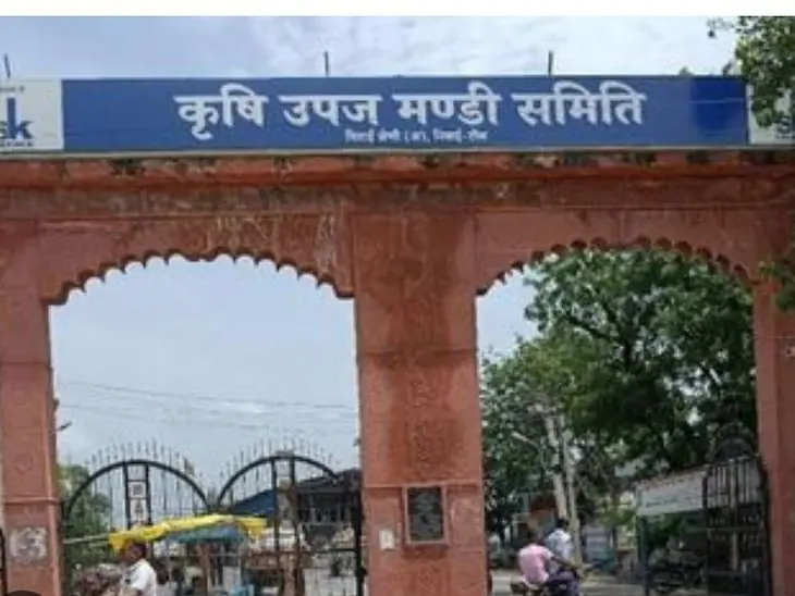 निवाई में शहरी सरकार की मतगणना