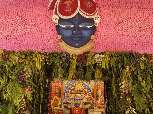 निवाई में श्याम मंदिर पर भव्य कृष्ण जन्माष्टमी महोत्सव