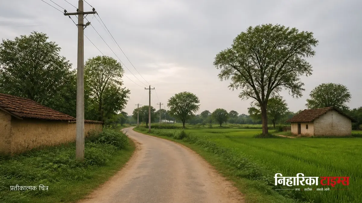 पडरौना में करंट से भैंस की मौत, पशुपालक का बेटा झुलसा