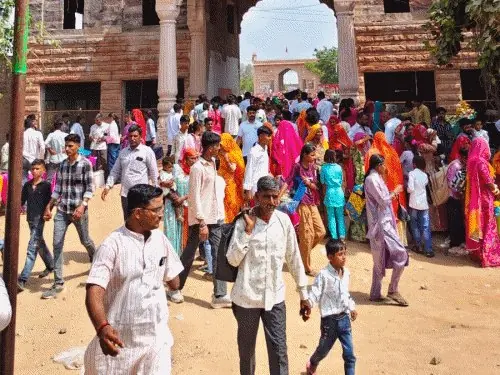 फलोदी के बापिणी में पंचपीर मेहोजी महाराज का मेला लगा
