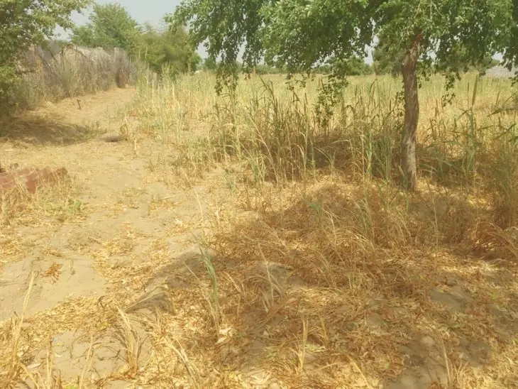 फलोदी में किसानों का बिजली कटौती के खिलाफ प्रदर्शन