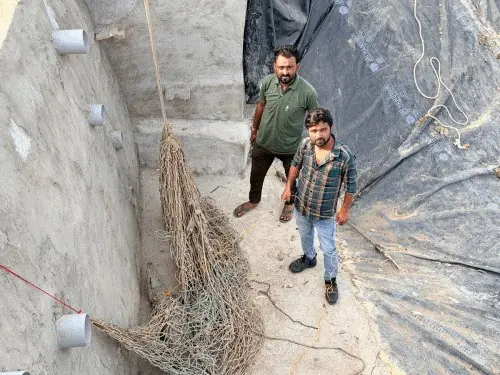 Crocodile Falls into Farm Pond in Sadra, Rescue Operation Lasts Three Days