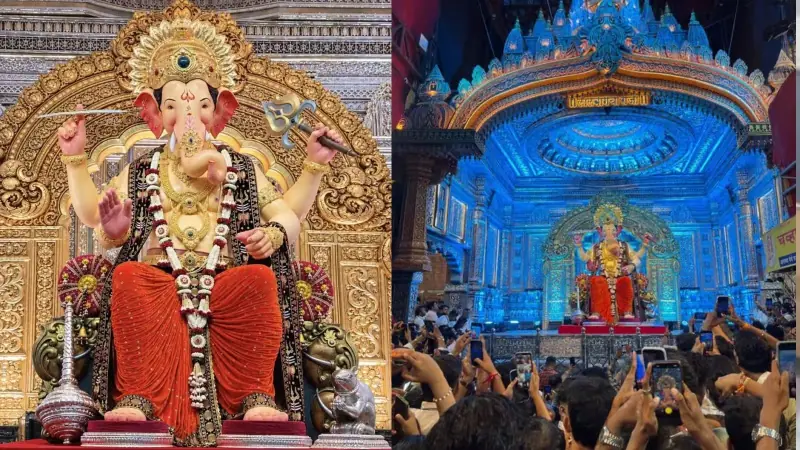 शशि पांडेय मिश्रा ने 18 साल में कई खास स्टिंग और रिपोर्टिंग की