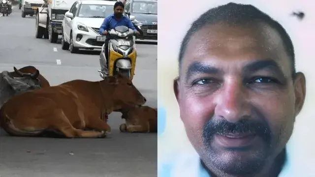 सोनीपत में बेसहारा पशु से टकराकर बाइक सवार बुजुर्ग की मौत