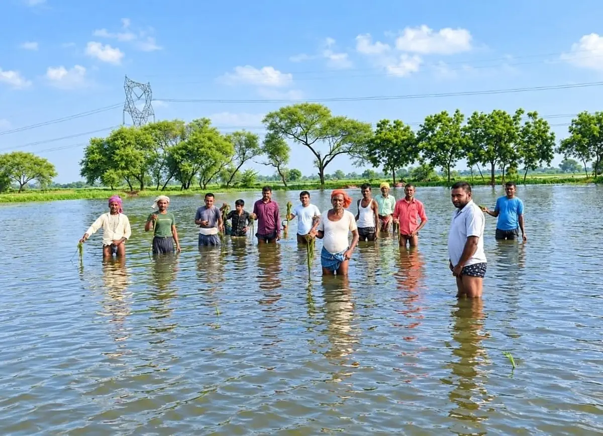ठठिया के आलू किसानों ने 18 सितंबर को कलेक्ट्रेट प्रदर्शन का आह्वान किया