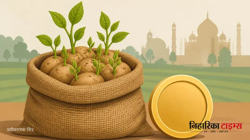 उत्तर प्रदेश सरकार ने आलू बीज उत्पादन के लिए 25,000 रुपये सब्सिडी की योजना शुरू की